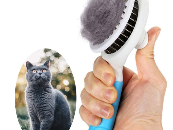 Dishwasher safe  It is dish-washer safe, and can be hand-washed in warm soapy water; and it is also freezer safe.