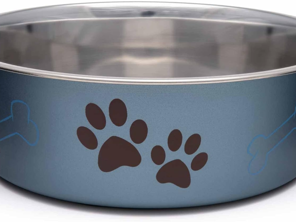 Stainless Steel Dog & Cat Bowls - Spill Proof Dog Food Bowl, Cat Bowl, Puppy Essentials & Pet Supplies Great for Home & Travel (Medium 20-35 lbs, Blueberry)